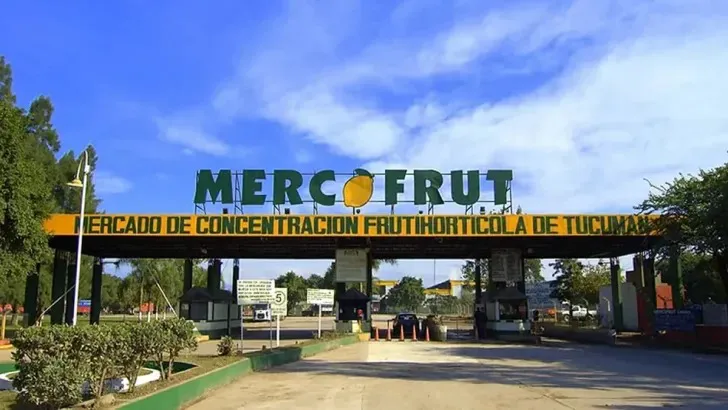 Mercofrut