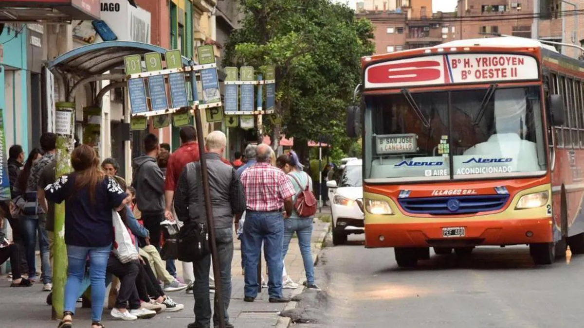 colectivos